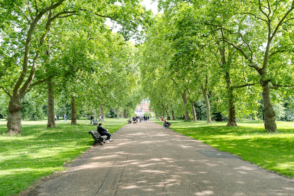 A tree-lined pathway in a park with lush green foliage overhead, creating a shaded environment. The wide paved path has several black metal benches on both sides, some occupied by individuals, with a few people walking or cycling further down the route. The surrounding area features well-maintained grass and mature trees providing a canopy of bright green leaves, indicating a spring or summer season. The scene is well-lit with natural daylight, and in the background, there are more pedestrians and park features visible from a distance. This image exemplifies a peaceful outdoor setting suitable for leisure activities, with a focus on natural scenery and community use, aligning with home relocation and moving logistics services like those offered by [COMPANY_NAME].